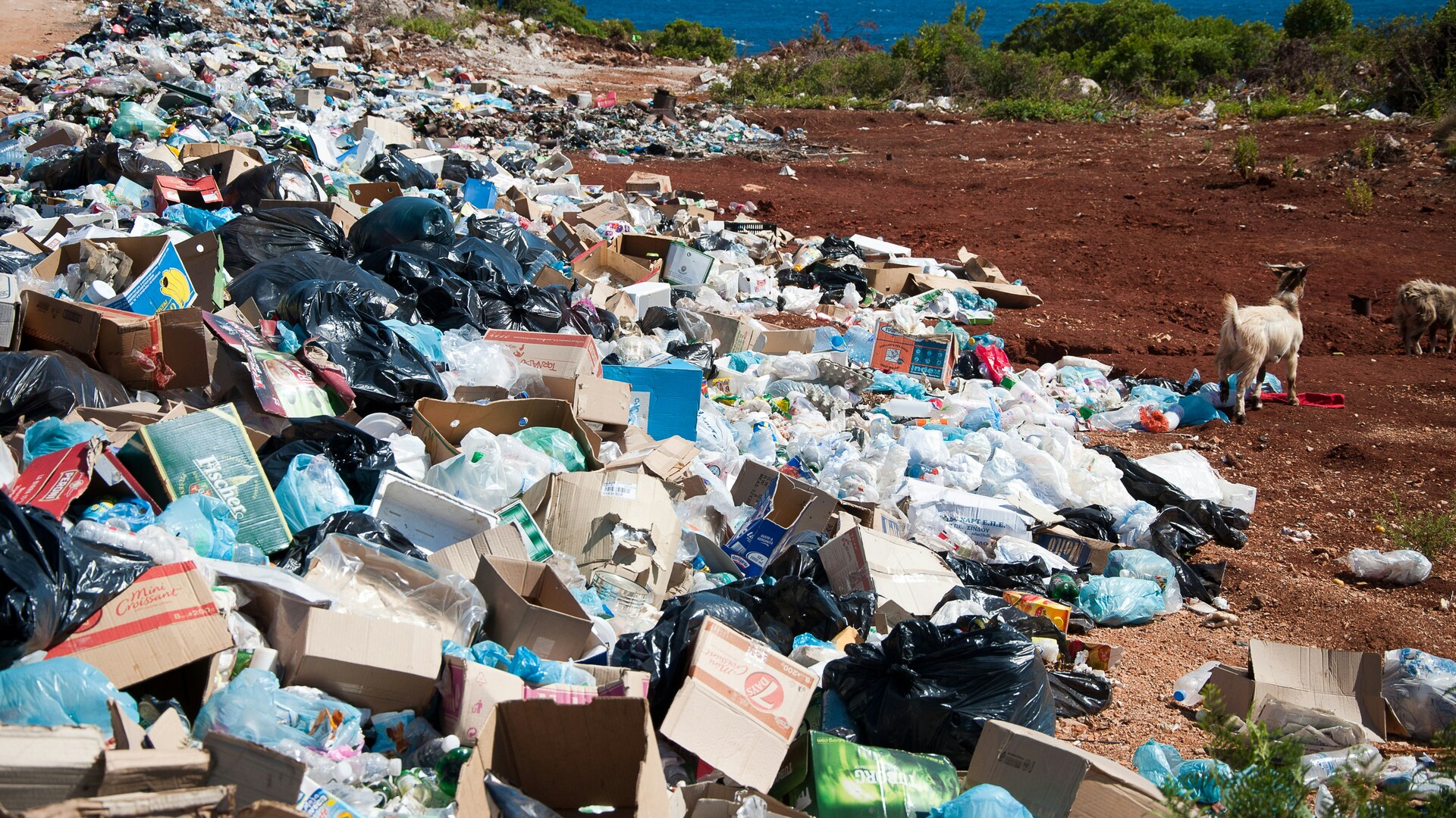 Les sols Les terres agricoles... Les sols Les terres agricoles...