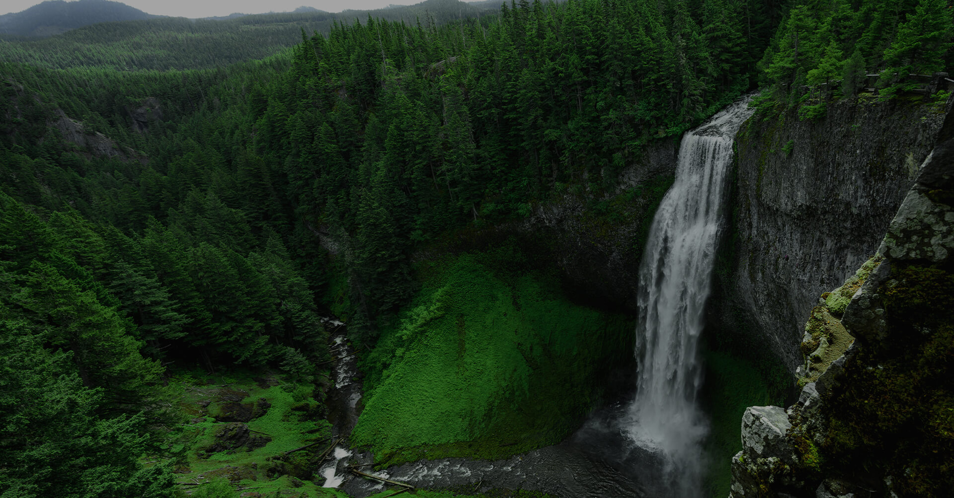 Paix sur terre pour sauver la Terre